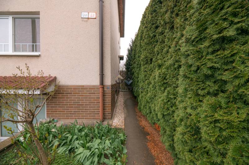 In der Nähe der Osloboditeľov-Straße in Trenčín befindet sich ein Gehweg neben einer gepflegten Hecke.