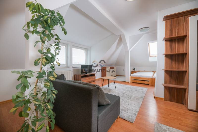 Dachgeschosswohnung mit 2 Zimmern, Sofa, Bett und Holzboden.