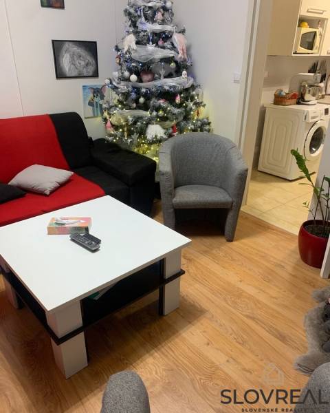 Wohnzimmer mit Weihnachtsbaum, Sofa, Tisch und Holzboden in einer Zweizimmerwohnung.