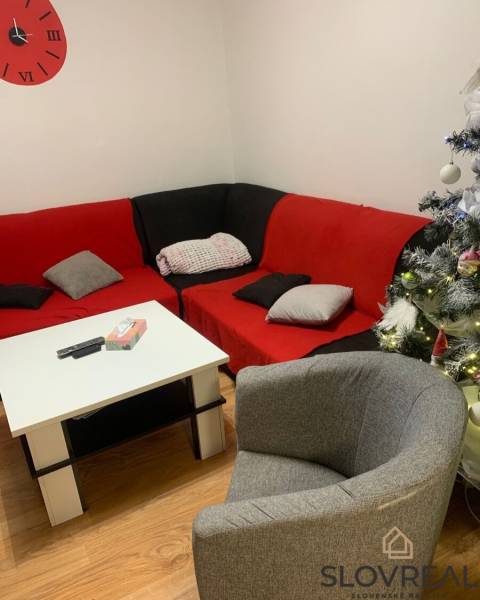 Ein Wohnzimmer in einer Zweizimmerwohnung mit Polstermöbeln und Weihnachtsdekorationen.