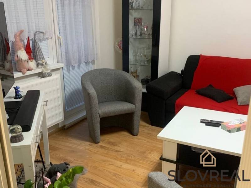 Wohnzimmer in einer 2-Zimmer-Wohnung mit bunten Möbeln und einem Boden in Holzoptik.