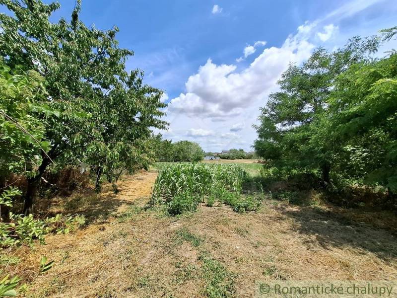 Gärten in Kamenný Most mit Feldern, grünen Bäumen und blauem Himmel mit Wolken.