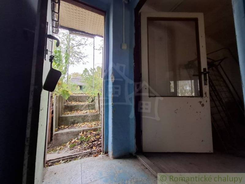 Die Türen, die von der Hütte in den Garten mit Blättern und Betontreppen in Kamenín führen.