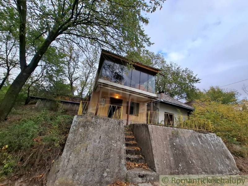 Eine Hütte in Kamenín mit einem Betonsockel und großen Fenstern inmitten von Bäumen.