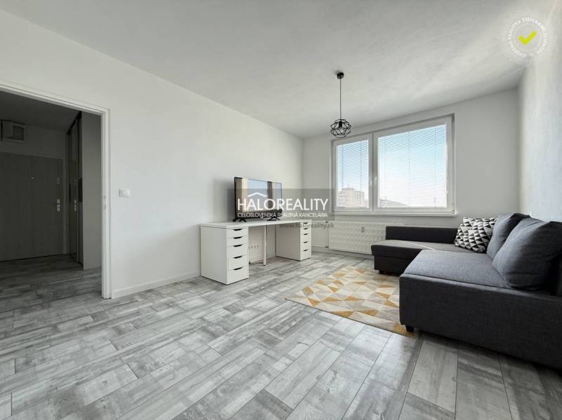 Wohnzimmer in einer 2-Zimmer-Wohnung mit Holzboden und grauem Sofa.