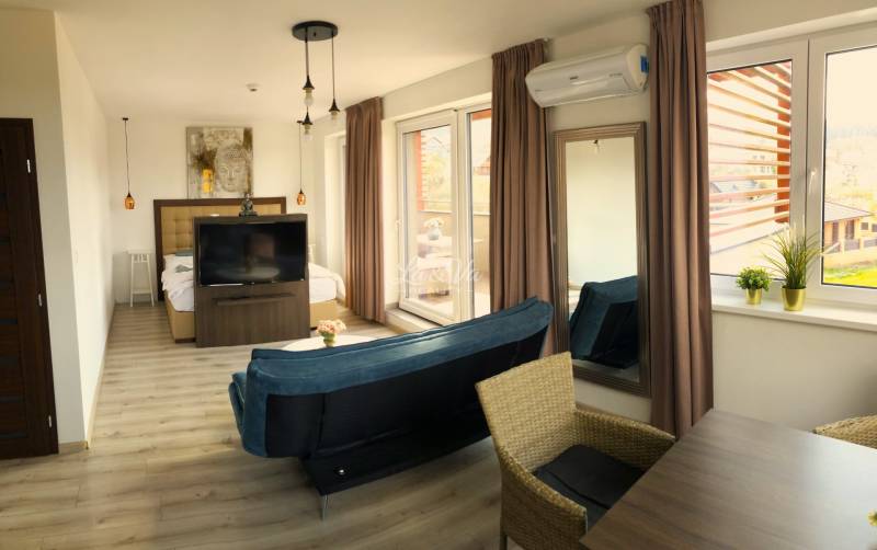 Helle 2-Zimmer-Wohnung mit Holzboden, Sofa und großen Fenstern.