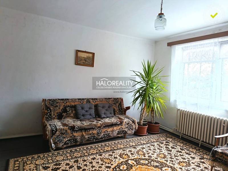 Wohnzimmer in einem Einfamilienhaus mit Teppichen, Sofa und Zimmerpflanze.