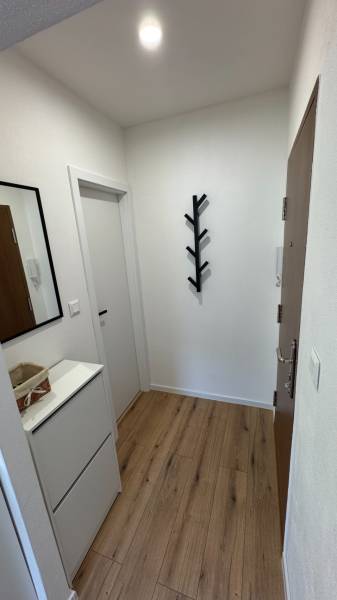 Flur mit Holzboden, Spiegel und Garderobe in einer Einzimmerwohnung.