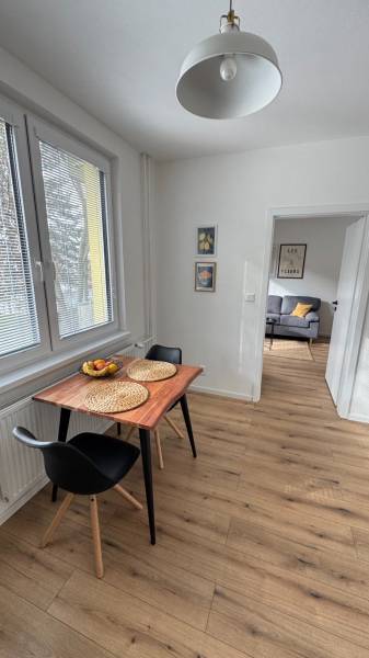 Essbereich in einer Einzimmerwohnung mit Holzboden und einfacher Einrichtung.
