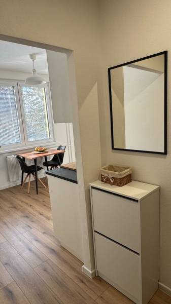 Einfacher Flur mit Spiegel und Blick in die Küche, in einer Einzimmerwohnung.