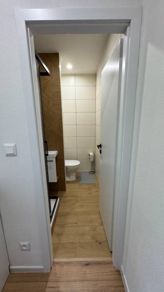 Badezimmer mit Toilette und Duschkabine in einer Einzimmerwohnung, Boden mit Holzdekor.