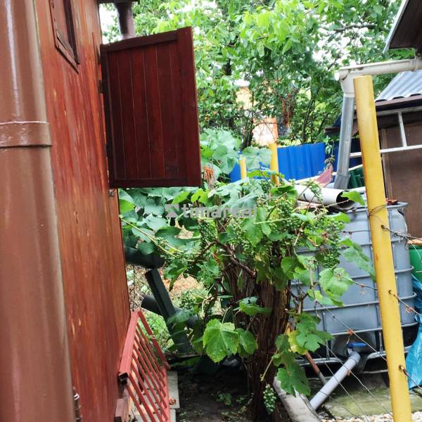 Ein Einfamilienhaus in Bohdanovce nad Trnavou mit einer Holzwand und dichter Vegetation im Garten.