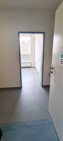 Innenraum eines Büros mit weißen Wänden, einem Boden in Holzoptik und einer Tür mit Fenster.