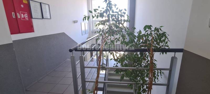 Büros mit Pflanzen und Treppe, Wände geschmückt mit Bildern und Feuerlöscher.