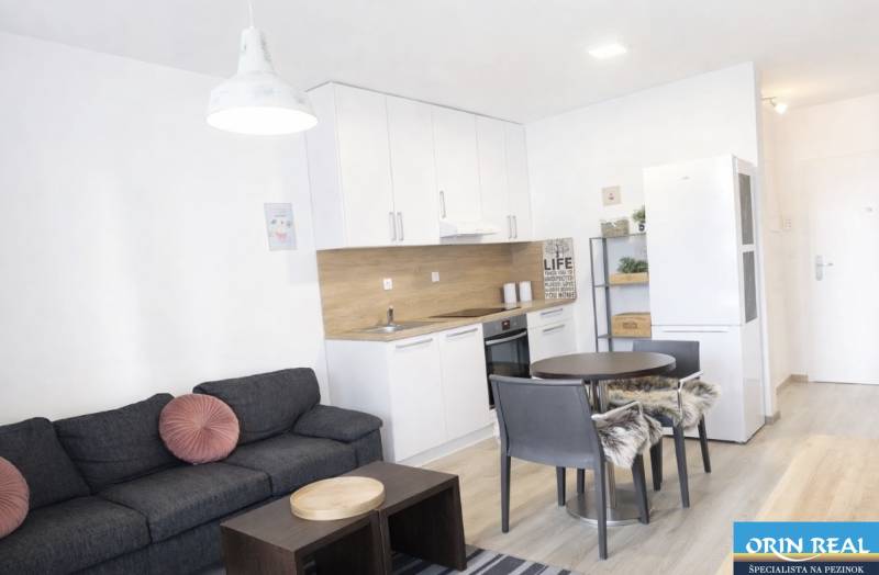 Wohnzimmer mit Küche in einer 2-Zimmer-Wohnung, Boden mit Holzdekor.