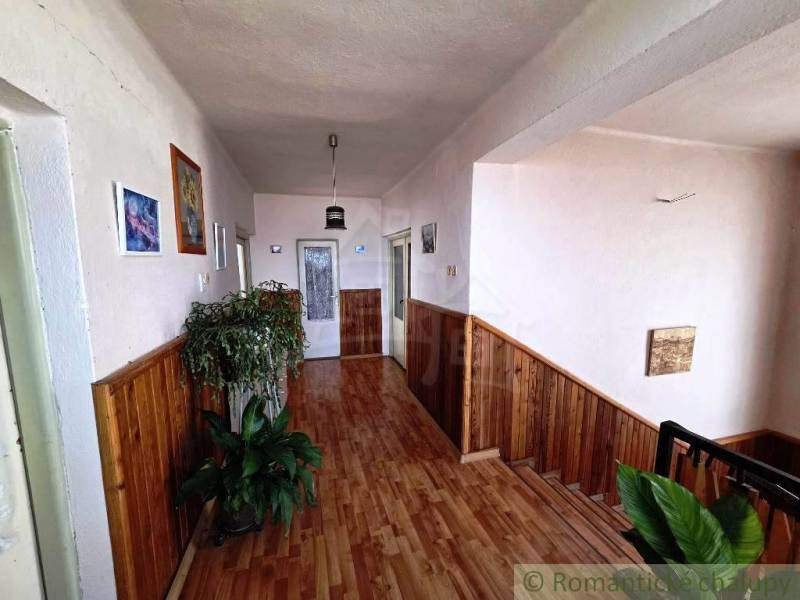 Ein Flur mit Holzboden in einem Einfamilienhaus, dekoriert mit Pflanzen und Bildern.