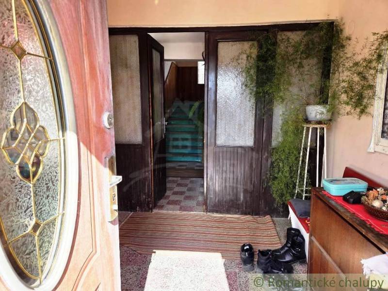 Eingangsflur eines Einfamilienhauses mit Schuhschrank und Zimmerpflanzen.