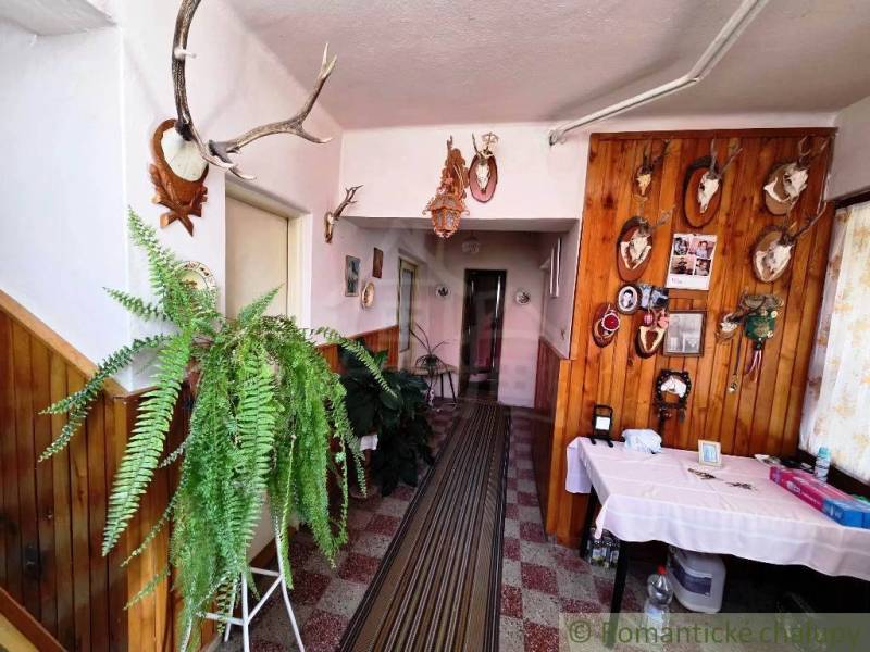 Innenraum eines Einfamilienhauses mit Jagdtrophäen und Farnen im dekorativen Stil.