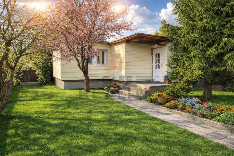 Ilustracne foto AI.png