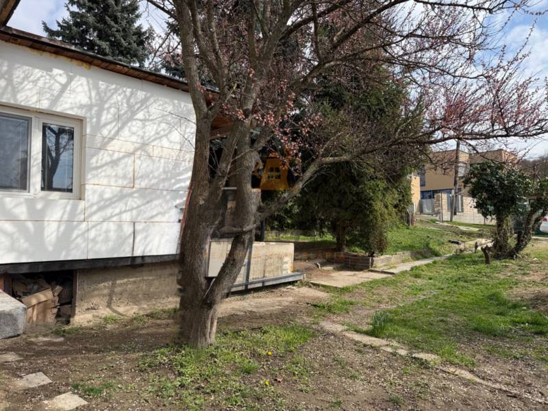 Ein Einfamilienhaus in Podkerepušky in Záhorská Bystrica, umgeben von Bäumen und einem grünen Rasen.