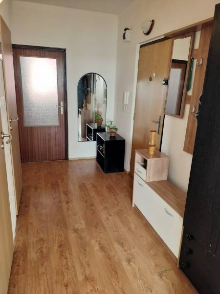 Der Flur einer 3-Zimmer-Wohnung mit Holzboden und einer Garderobenwand.