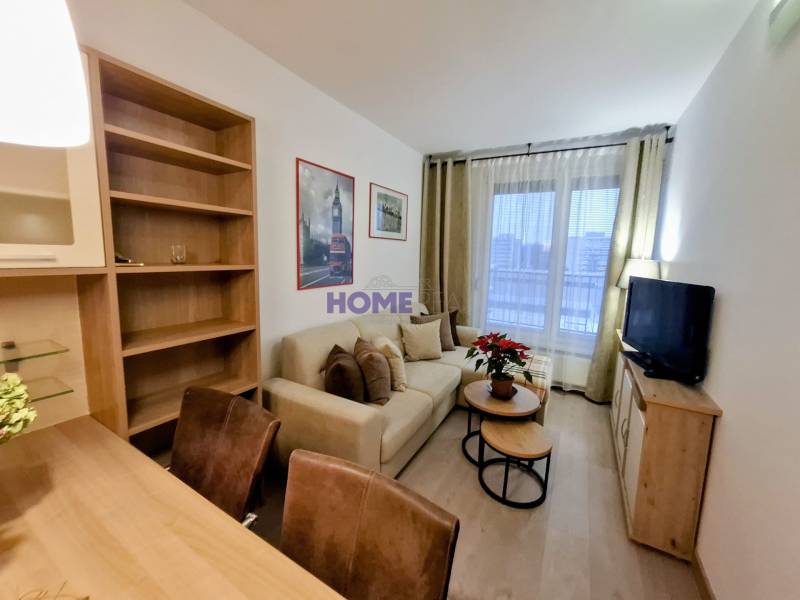 Wohnzimmer in einer 2-Zimmer-Wohnung mit Sofa, Fernseher, Regalen und Holzboden.