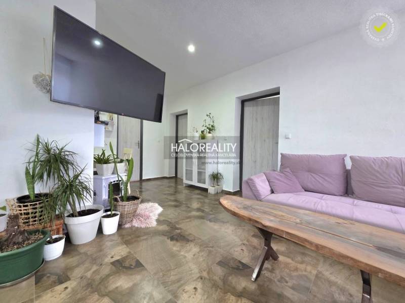 Wohnzimmer mit Fernseher, Pflanzen und Holzboden in einem Einfamilienhaus.