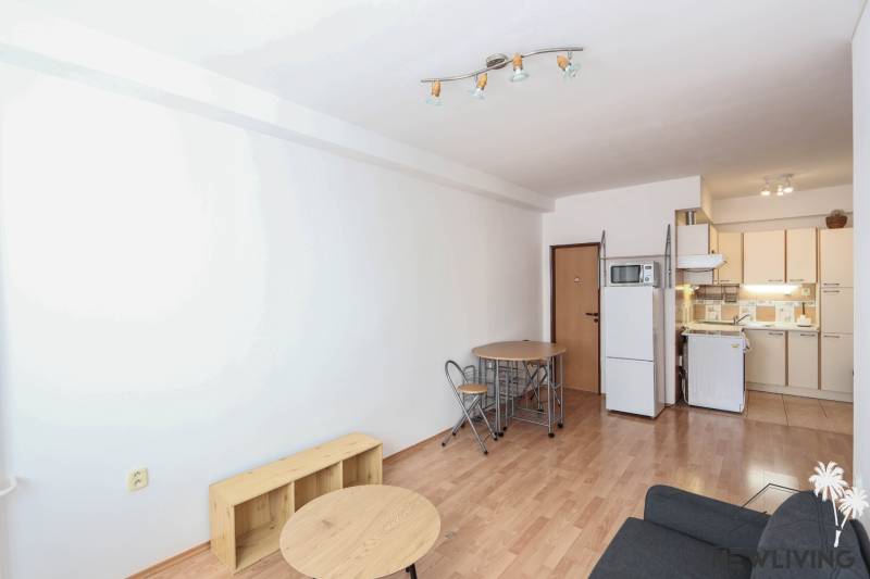 Helle 2-Zimmer-Wohnung mit Holzboden, Küche und Esstisch.