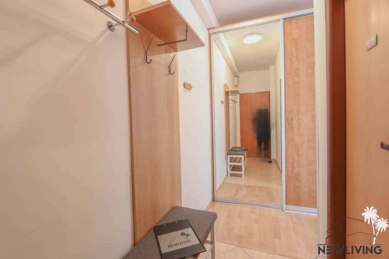 Der Flur in einer 2-Zimmer-Wohnung mit einem Boden in Holzoptik und einem Einbauschrank.