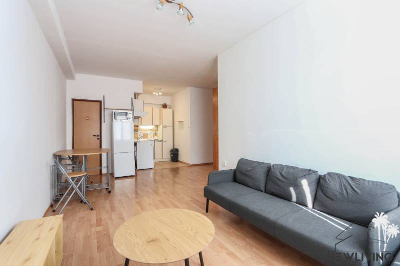 Wohnzimmer in einer 2-Zimmer-Wohnung mit Holzboden und grauem Sofa.