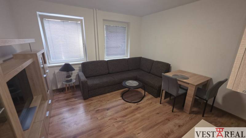 Wohnzimmer in einer Einzimmerwohnung mit Holzboden, Sofa und Esstisch.