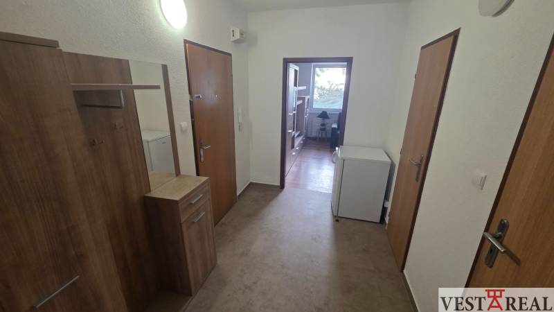 Eingangsbereich und Flur in einer Einzimmerwohnung mit Holzboden.