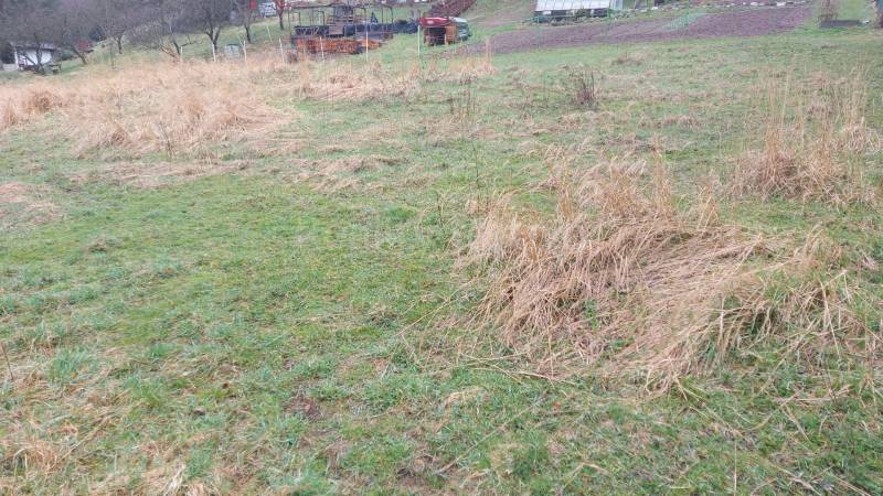 Erholungsgrundstücke in Púchov mit Rasenfläche und trockener Vegetation.