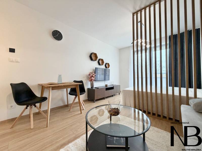 1-Zimmer-Wohnung mit Holzboden, Trennwand und Fernseher.