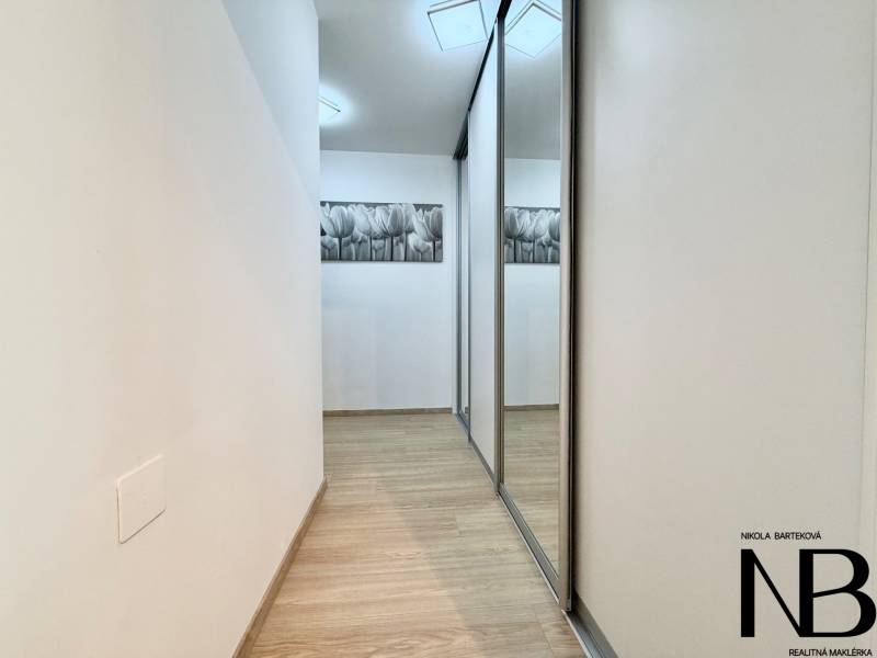 Flur mit Holzboden und Einbauschrank in einer Einzimmerwohnung.