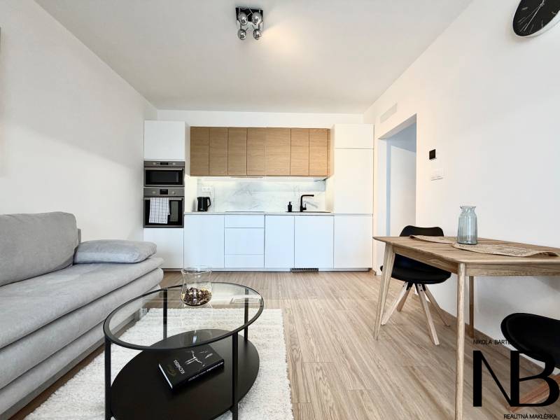 1-Zimmer-Wohnung mit Holzboden, Küchenzeile und grauem Sofa.