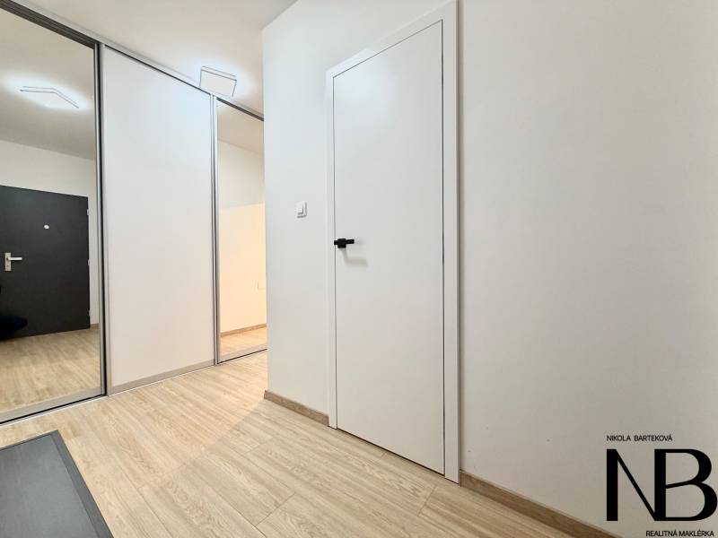 Eingangsbereich einer Einzimmerwohnung mit Holzboden und Einbauschrank.