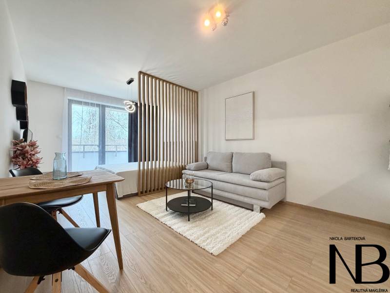 Wohnzimmer mit Sofa und Esstisch, Holzboden, Einzimmerwohnung.