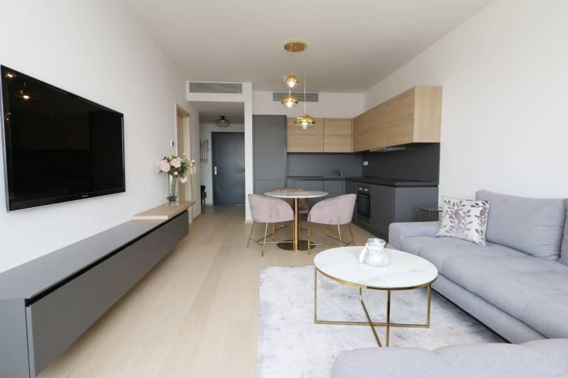2-Zimmer-Wohnung mit Holzboden, grauem Sofa und minimalistischer Küche.