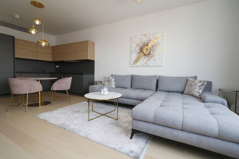 Stilvolles Wohnzimmer mit Sofa und Küche in einer 2-Zimmer-Wohnung.