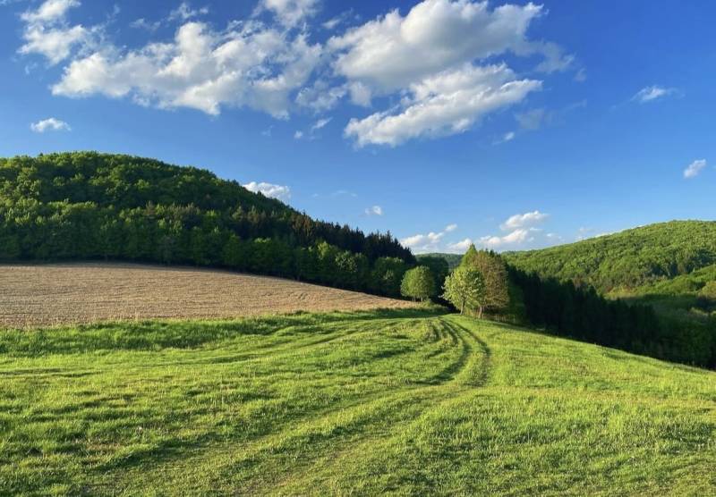 Schöne grüne landwirtschaftliche und forstwirtschaftliche Flächen in Dolné Kočkovce unter klarem blauen Himmel.