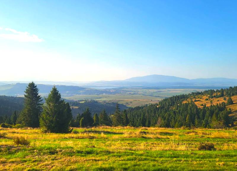 Zábiedovo: Landwirtschaftliche und forstwirtschaftliche Flächen mit Bäumen und weitläufigen Wiesen vor dem Hintergrund von Hügeln.