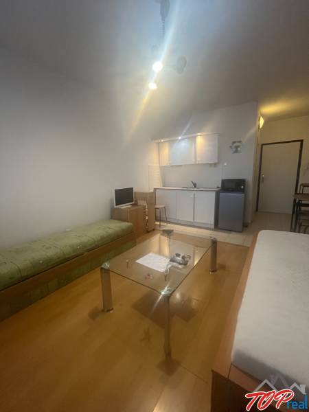 Einzimmerwohnung mit Sofa, Glastisch und Küchenzeile. Boden mit Holzdekor.