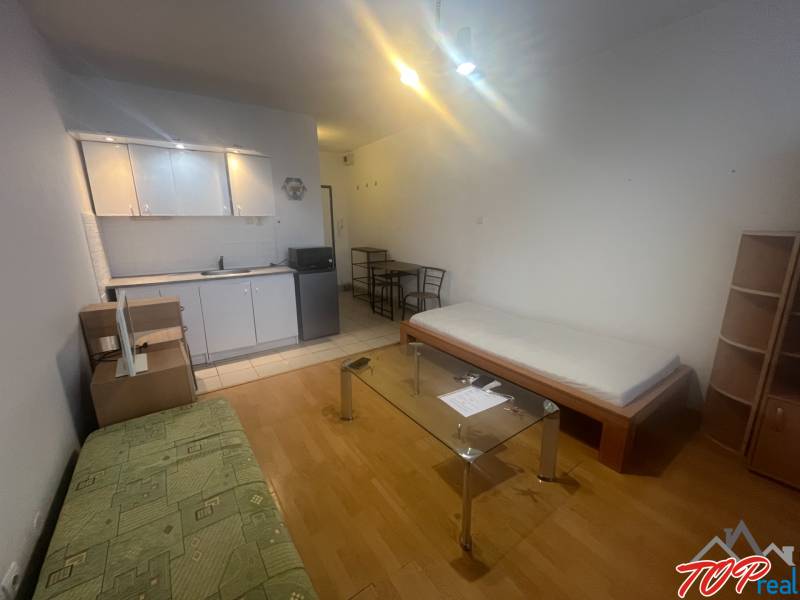 Einzimmerwohnung mit Küchenzeile, Sofa, Bett und Holzboden.
