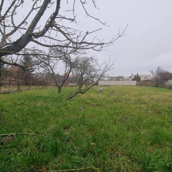 Garten mit Rasen und Bäumen im Außenbereich eines Einfamilienhauses in Malé Leváre.