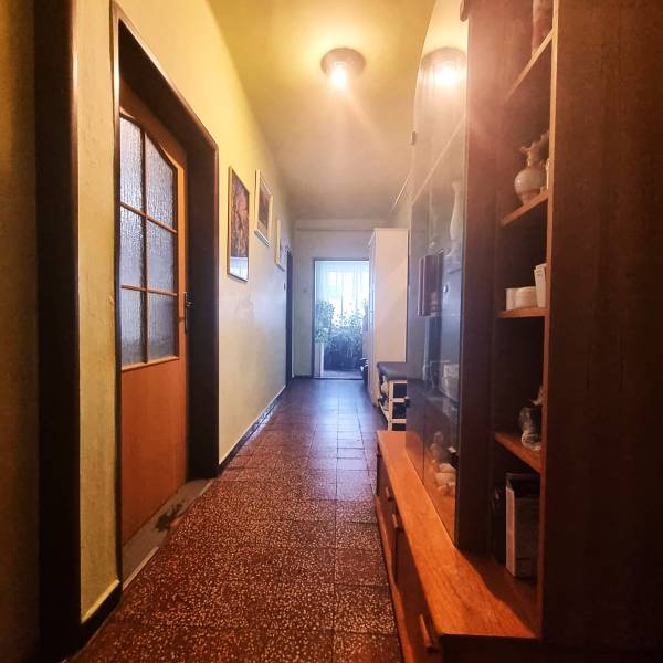 Der Flur in einem Einfamilienhaus mit einer Vitrine, Türen und Pflanzen am Ende.
