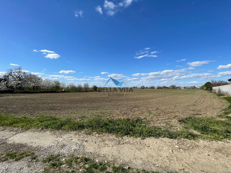 Ein weites Feld, umgeben von blühenden Bäumen, in der Košútska-Straße in den Košúty-Gärten.