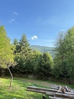 In Horná Mariková bei der Hütte Bäume und Gras unter blauem Himmel.