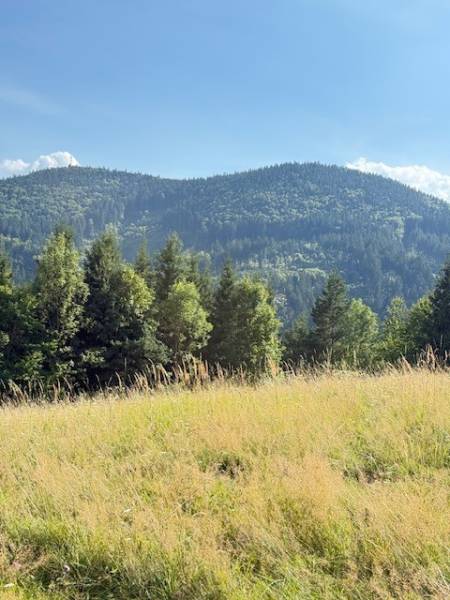 Berglandschaft bei Horná Mariková mit Wäldern und Wiese unter sonnigem Himmel.