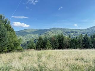 Berglandschaft bei Horná Mariková mit Wiese und Wäldern unter blauem Himmel.